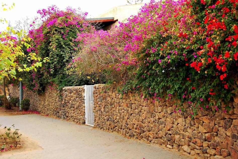 بيت ضيافة - لوسانيل أراد المظهر الخارجي الصورة