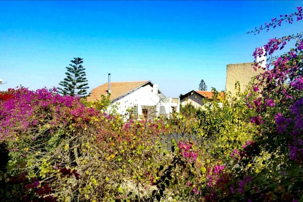 بيت ضيافة - لوسانيل أراد المظهر الخارجي الصورة